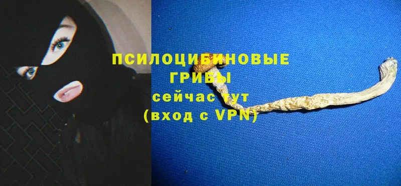 blacksprut ССЫЛКА  закладки  Белоозёрский  Галлюциногенные грибы Psilocybe 